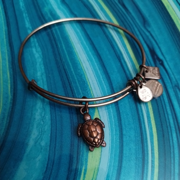 Alex and Ani Sea Turtle Charm Bracelet - Picture 7 of 13